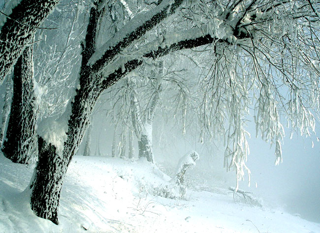 عکسهای زیبای فصل زمستان